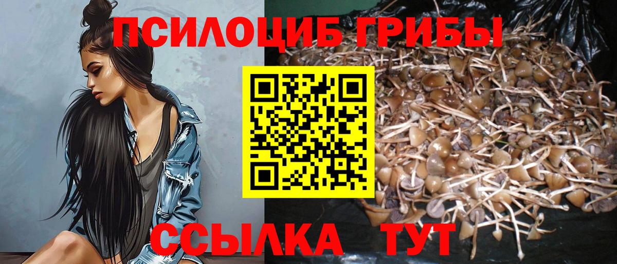 Галлюциногенные грибы мицелий Волгодонск