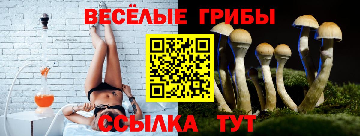 Галлюциногенные грибы MAGIC MUSHROOMS  Вход с VPN  Галлюциногенные грибы Psilocybe  Волгодонск 